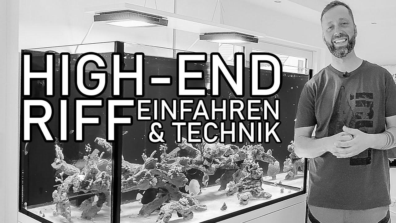 HIGH-END saltwater aquarium |  Problems when working in, fish & technology EXPLAINED (600l)