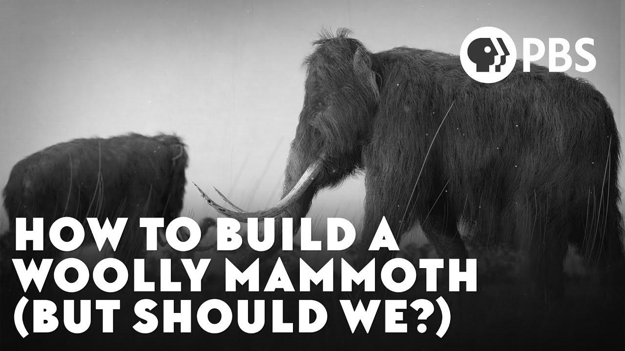 How To {Build|Construct} A Woolly Mammoth ({But|However} {Should|Ought to} We?)