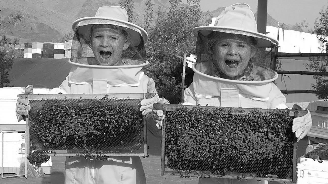 Diana and Roma Study Bees, HATTA Honey Bee Backyard Tour – Enjoyable family trip