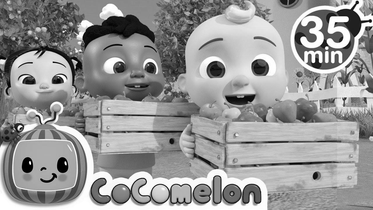 Be taught to Depend with Apples + More Nursery Rhymes & Youngsters Songs – CoComelon